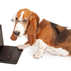 Illustration for article titled Warning: Dogs Are Stealing Our Jobs